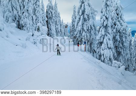 Picturesque Snow Covered Pine Trees And Majestic Winter Ski Resort. Active Skiers Skiing Downhill In