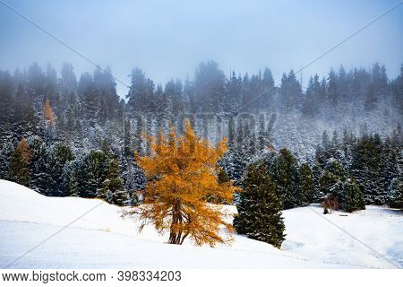 Snowy early winter landscape in Alpe di Siusi. Dolomites Italy - winter holidays destination