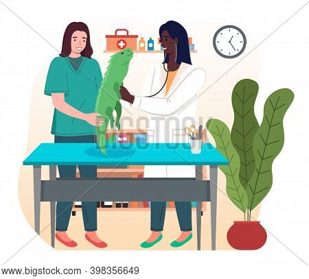Doctor Women With Iguana In The Medical Office. Veterinary Care Illustration. Veterinarian Wooman Ho