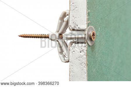 Grey plastic butterfly-type dowel fixed in pre-drilled hole in sheet of moisture-resistant drywall isolated on white background