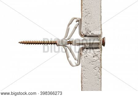 Grey plastic butterfly-type dowel fixed in pre-drilled hole in sheet of moisture-resistant drywall isolated on white background, including clipping path
