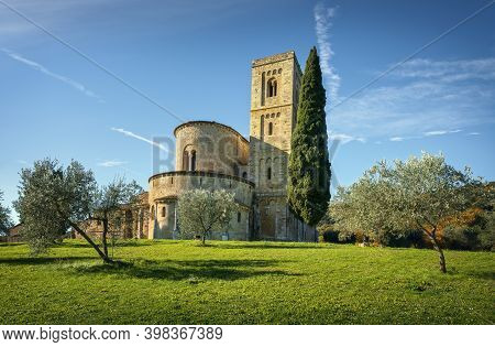 Sant Antimo Abbey In The Morning, Olive And Cypress Trees. Montalcino. Tuscany, Italy