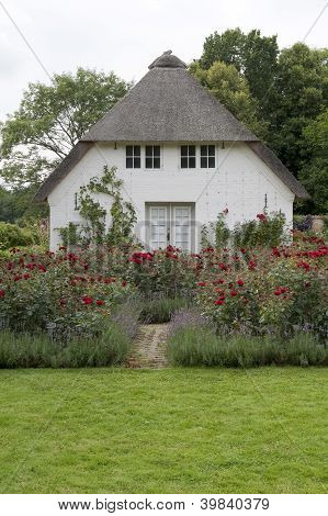 Lille hus i rosenhaven