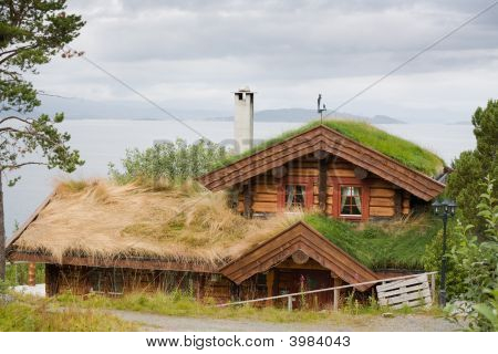 Maison envahi par la végétation