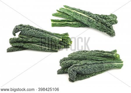 Palm Cabbage 