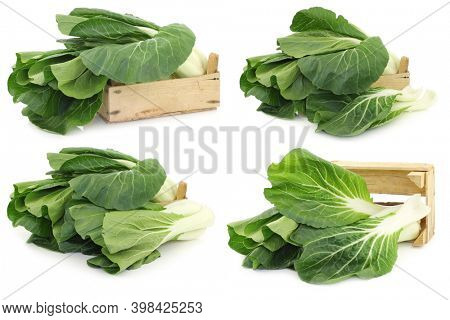 fresh chinese paksoi in a wooden crate on a white background