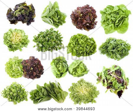 Salata çeşitleri