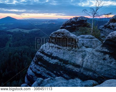 Leaf Less Birch Tree Growth On Rounded Sandstone Rock In Natural Park. Blue Hour View