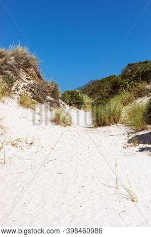 Coastal Sand Dune Landscape Of Fish Hoek, Cape Town