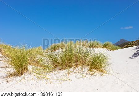 Coastal Sand Dune Landscape Of Fish Hoek, Cape Town