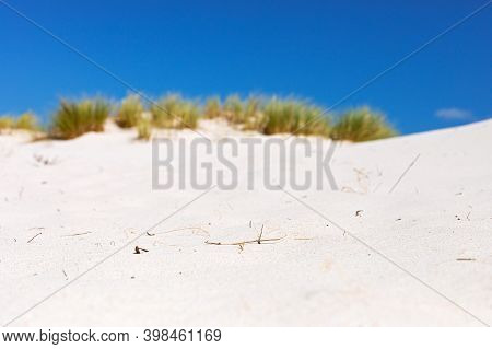 Coastal Sand Dune Landscape Of Fish Hoek, Cape Town