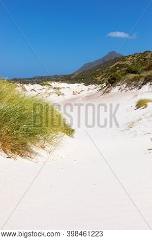 Coastal Sand Dune Landscape Of Fish Hoek, Cape Town