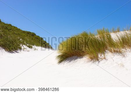 Coastal Sand Dune Landscape Of Fish Hoek, Cape Town