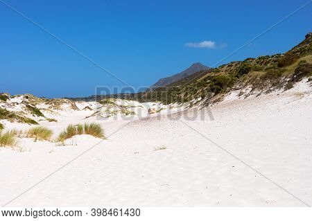 Coastal Sand Dune Landscape Of Fish Hoek, Cape Town