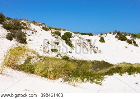 Coastal Sand Dune Landscape Of Fish Hoek, Cape Town