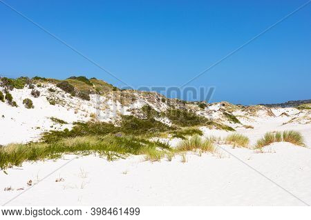 Coastal Sand Dune Landscape Of Fish Hoek, Cape Town