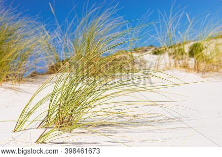Coastal Sand Dune Landscape Of Fish Hoek, Cape Town