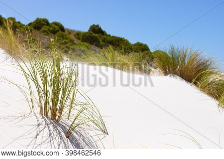 Coastal Sand Dune Landscape Of Fish Hoek, Cape Town