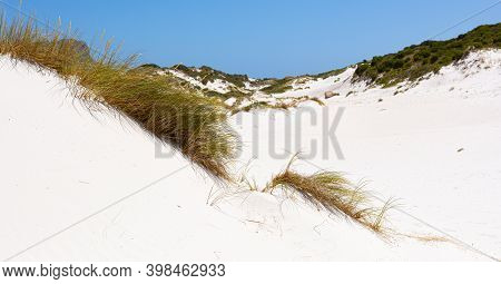 Coastal Sand Dune Landscape Of Fish Hoek, Cape Town