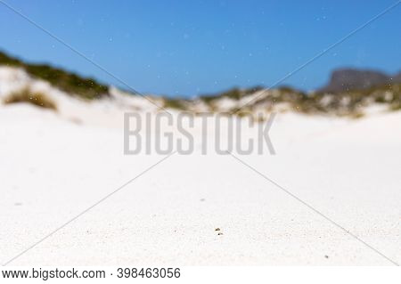 Coastal Sand Dune Landscape Of Fish Hoek, Cape Town