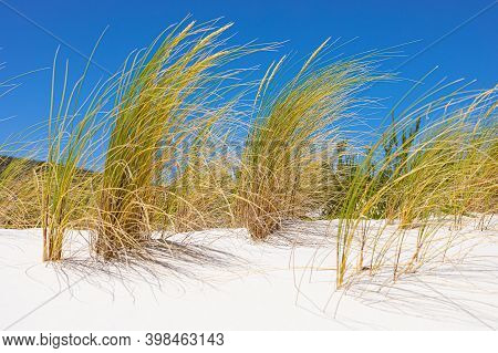 Coastal Sand Dune Landscape Of Fish Hoek, Cape Town