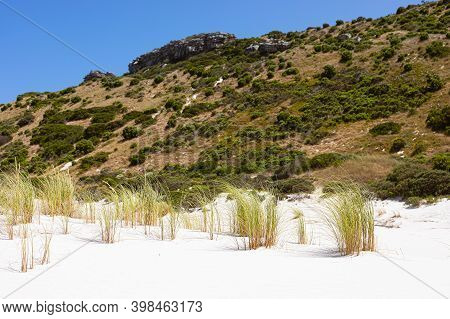 Coastal Sand Dune Landscape Of Fish Hoek, Cape Town