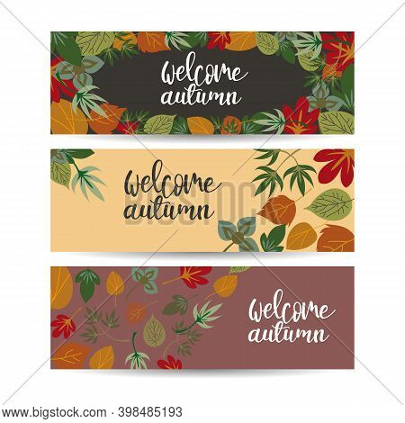 Horizontal Fall Banners Set. Three Vector Templates. Bright Autumn Maple, Oak, Birch, Elm, Rowan, Ch