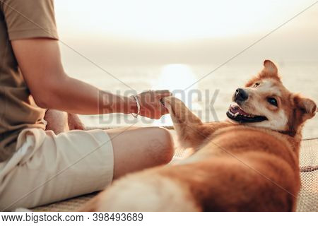 A Man Hold One Hand  With A Dog Pet Near The Sea Sunset.
Travel, Vocation, Holiday Concept.