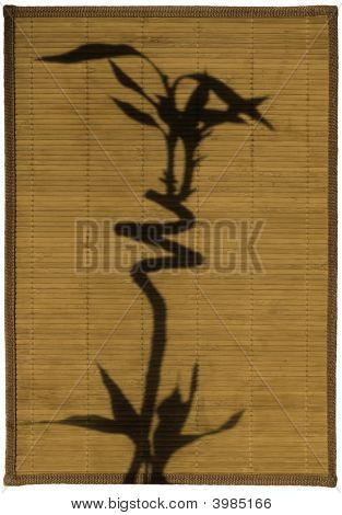 Shadow Of Bamboo