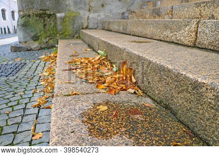 Fallen Yellowed Leaves Lie On The Steps In The City