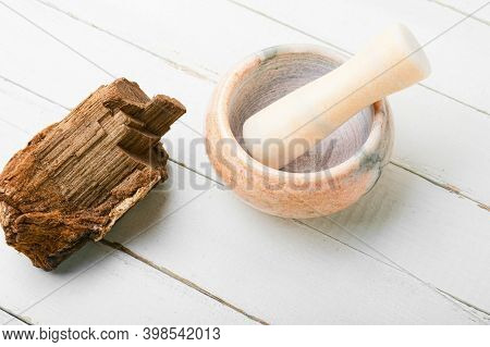 Tinder Fungus In Herbal Medicine