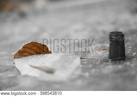 Brown Leaf Frozen In Ice - Brown Leaf Protruding