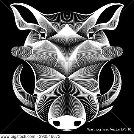 Abstract Warthog Head On Black Background, Line Art. Vector Illustration Eps 10