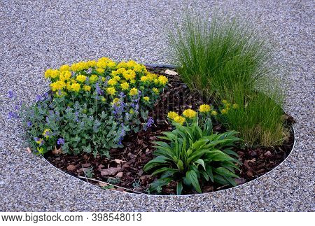 Circle Flower Bed Euphorbia Polychroma Nepeta Faasenii Bark Mulch Yellow Green Blue
