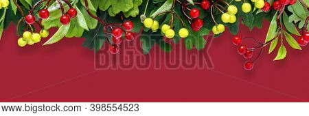 Autumn Oak And Rowan Branches With Red Berries On Crimson Background.
Flat Lay, Top View, Copy Space