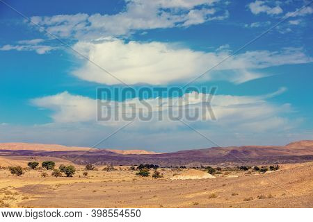 Landscape Of The Desert, Dry Riverbed. Trees Grow Along The Dry Riverbed
