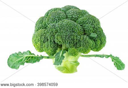 Broccoli Vegetable Isolated On White Background. Raw Green Broccoli Close Up