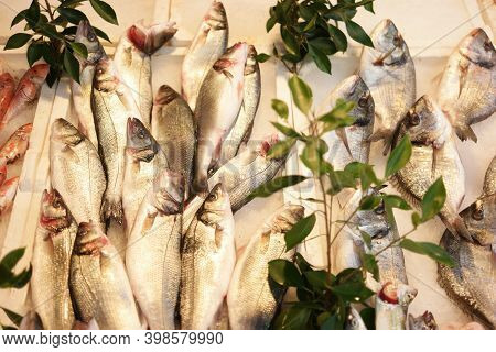 Raw Fish On Display At Fish Market. Pile Of Fresh Sea Bream Fish Stacked On Ice At Fish Market.