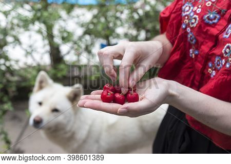 Girl Holding 