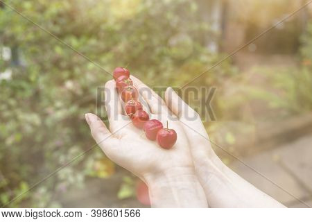 Girl Holding 