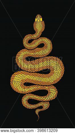 Golden Brown Coiled Snake Detailed Illustration. Tribal Serpent Isolated Over Black. Vector Reptile 