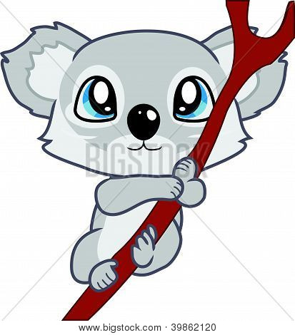 Koala bébé