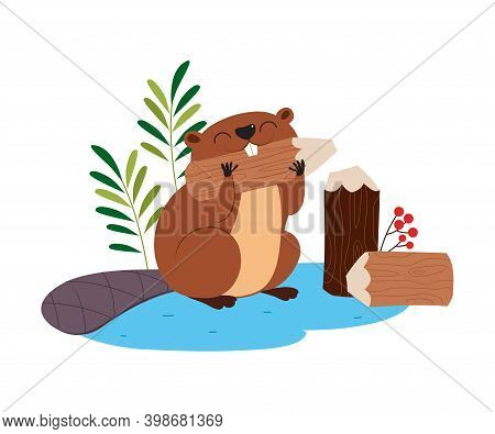 Funny Beaver Rodent As Forest Animal Gnawing Woodvector Illustration