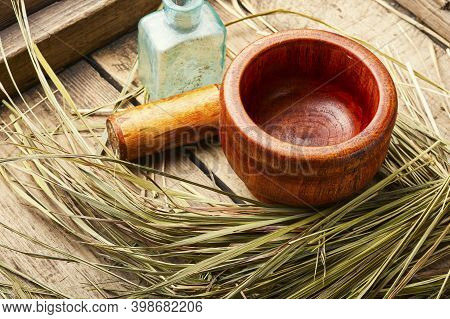 Hierochloe In Herbal Medicine