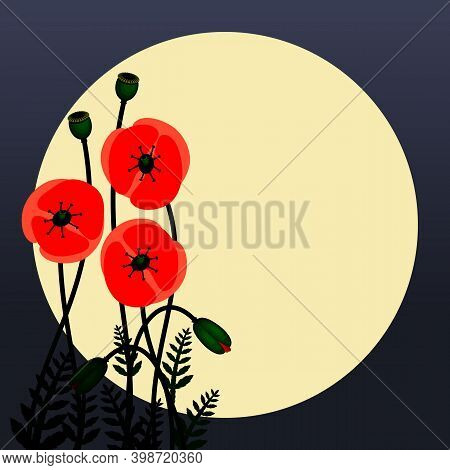Poppy Flowers Image.
Red Poppy Flowers Against The Moon. Floral Background Images. Vector Illustrati