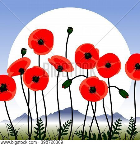 Poppy Flowers Image.
Red Poppy Flowers Against The Sky. Floral Background Images. Vector Illustratio