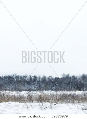 stumpfe Schnee Winterlandschaft