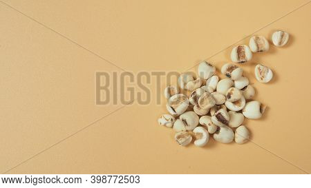 Job's Tears, Also Known As Adlay And Coix On White Background. Popular In Asian Cultures As A Food S