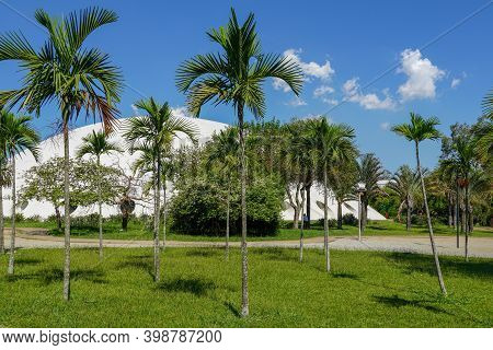 Oca Is An Exhibition Hall Inside Ibirapuera Park In Sao Paulo, Brazil. Originally Known As Pavilhao 