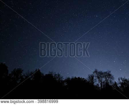 Trees Over Stars On A Moonless Night